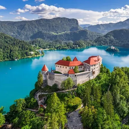 Riverdance With Mountain View, Garden And Private Parking Bled
