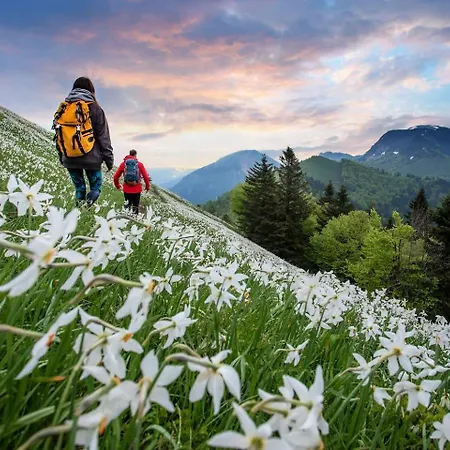 Riverdance With Mountain View, Garden And Private Parking Daire Bled