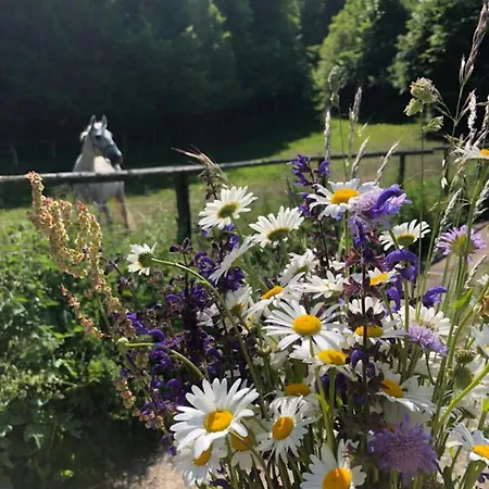 Apartmán Riverdance With Mountain View, Garden And Private Parking Bled