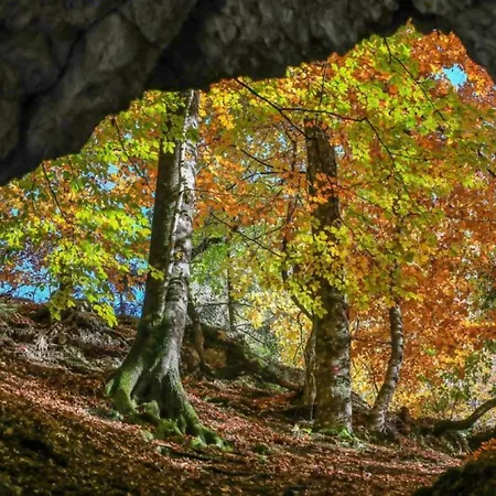 Διαμέρισμα Riverdance With Mountain View, Garden And Private Parking