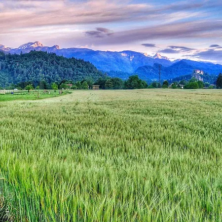 Riverdance With Mountain View, Garden And Private Parking *