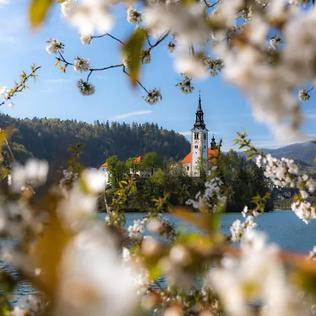 Riverdance With Mountain View, Garden And Private Parking Διαμέρισμα *