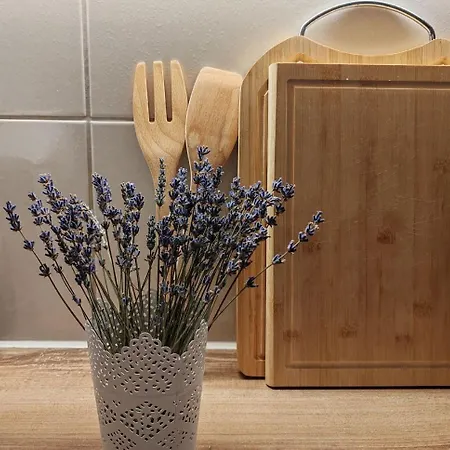 Riverdance With Mountain View, Garden And Private Parking *