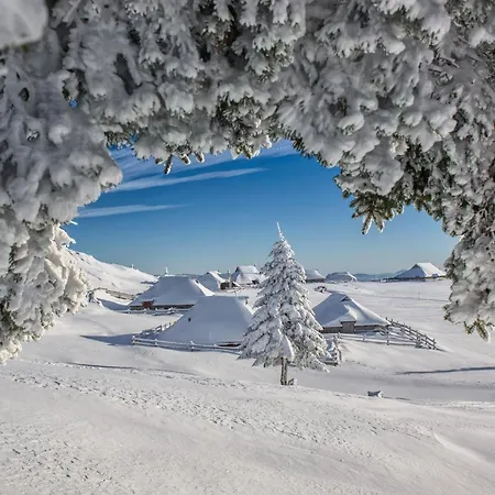 Riverdance With Mountain View, Garden And Private Parking Apartment Bled