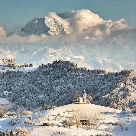 Riverdance With Mountain View, Garden And Private Parking Apartment Bled