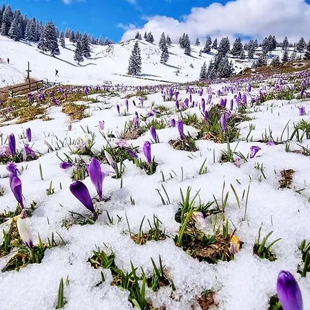 Riverdance With Mountain View, Garden And Private Parking Διαμέρισμα