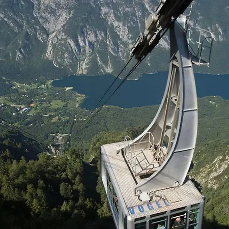 Riverdance With Mountain View, Garden And Private Parking * Bled