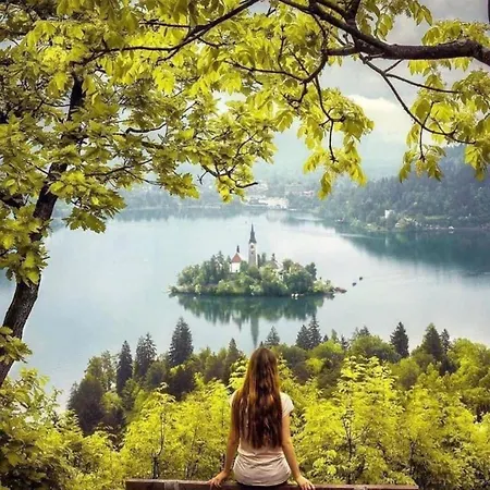 Apartment Riverdance With Mountain View, Garden And Private Parking *