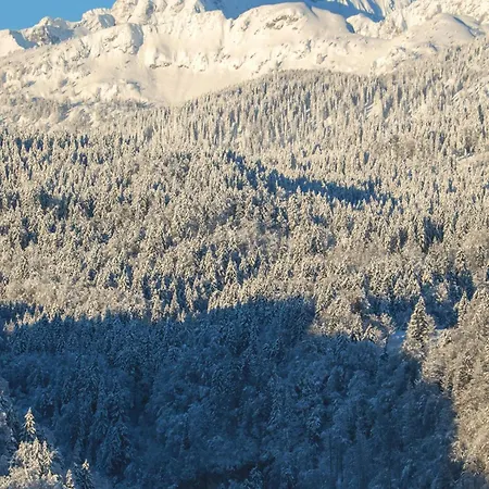 Riverdance With Mountain View, Garden And Private Parking * Bled