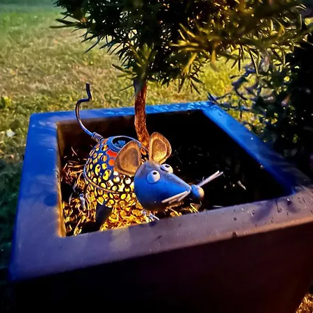 Riverdance With Mountain View, Garden And Private Parking * Μπλεντ