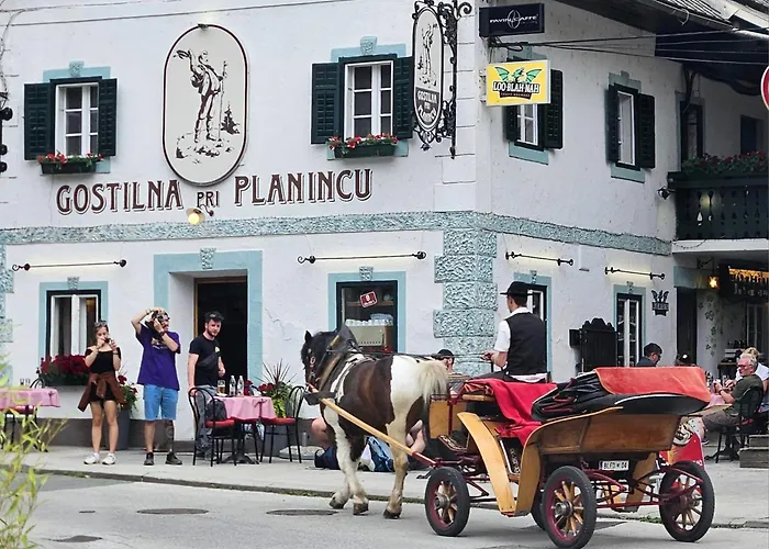 Riverdance With Mountain View, Garden And Private Parking *