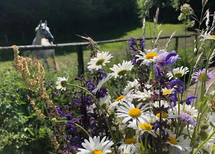 Apartma Riverdance With Mountain View, Garden And Private Parking Bled