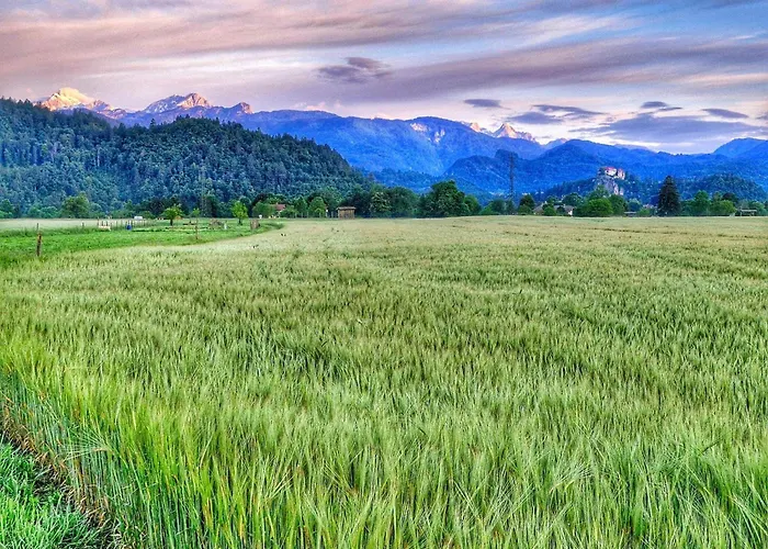 Riverdance With Mountain View, Garden And Private Parking *