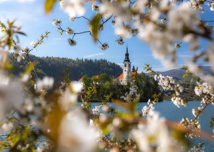 Riverdance With Mountain View, Garden And Private Parking Apartma *