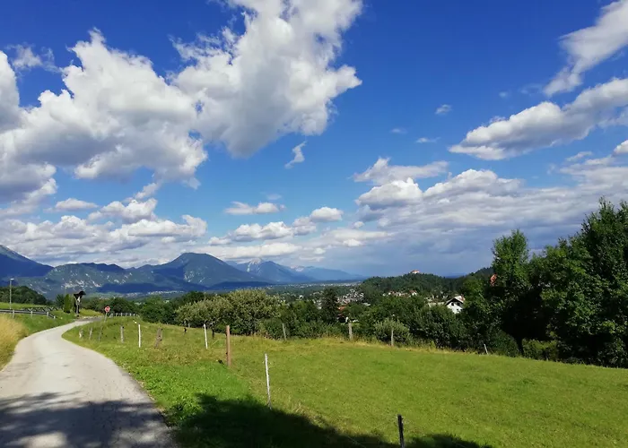 Riverdance With Mountain View, Garden And Private Parking Apartma