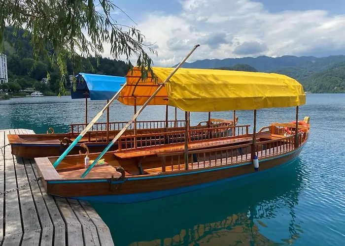 Apartma Riverdance With Mountain View, Garden And Private Parking