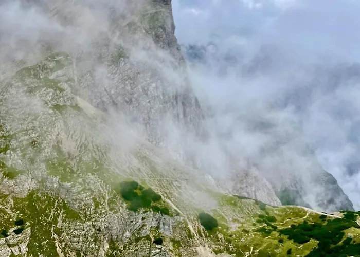 Riverdance With Mountain View, Garden And Private Parking Apartma Bled