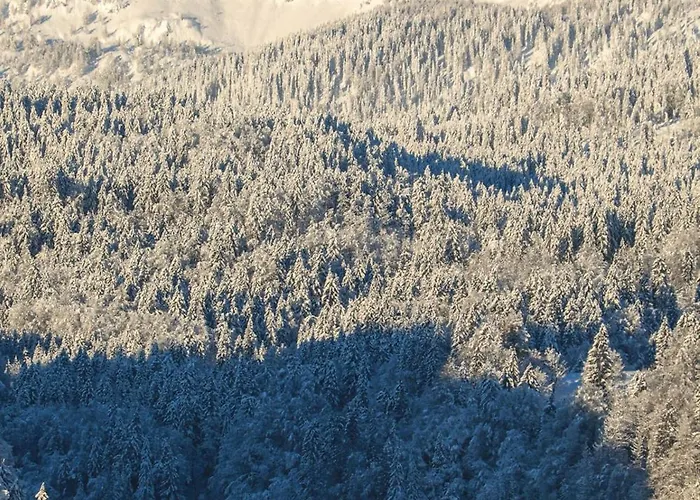 Riverdance With Mountain View, Garden And Private Parking * Bled